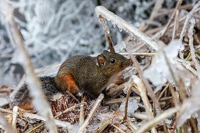 腾讯版GPT确认：不急于求成 第一款产品就已多次迭代